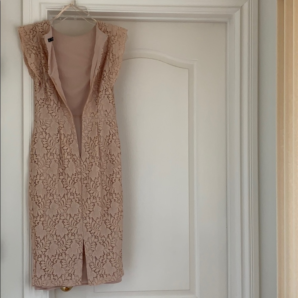 Zara Basic Nude Pink Lace Midi Dress View 3